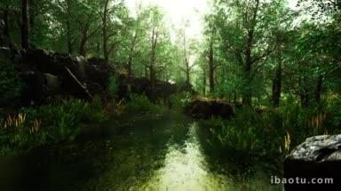 绝美森林风景视频